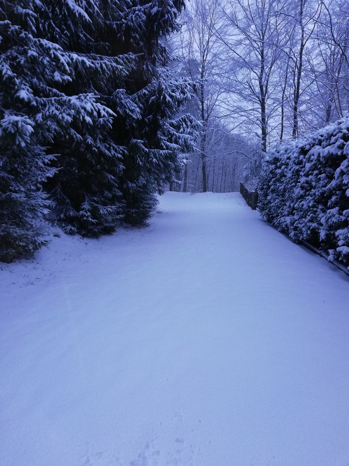 winter and snow