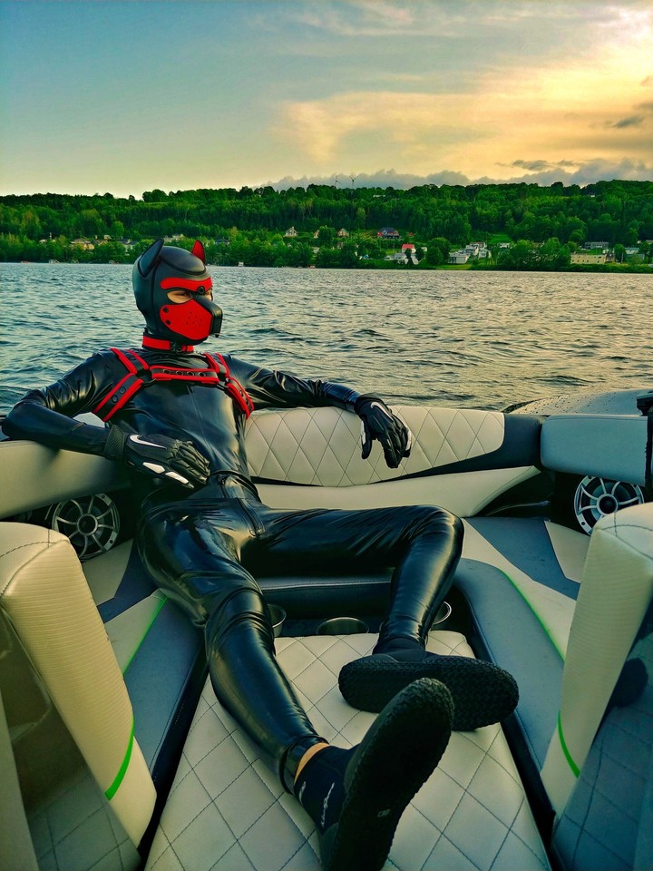 Rubber Puppy