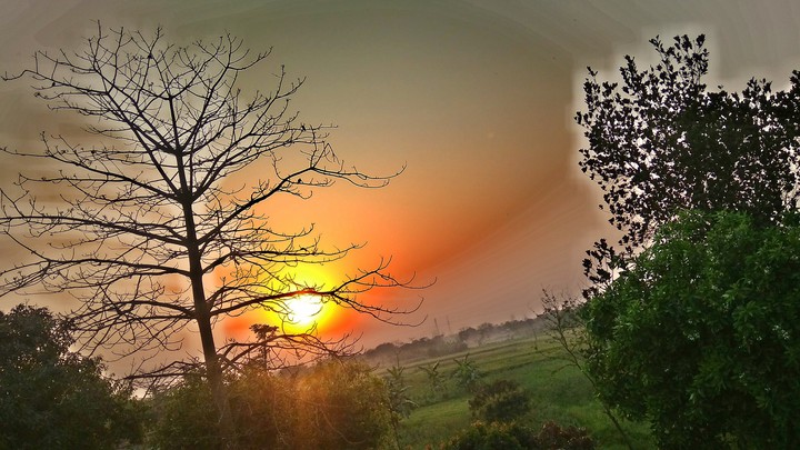 Sunset 4k