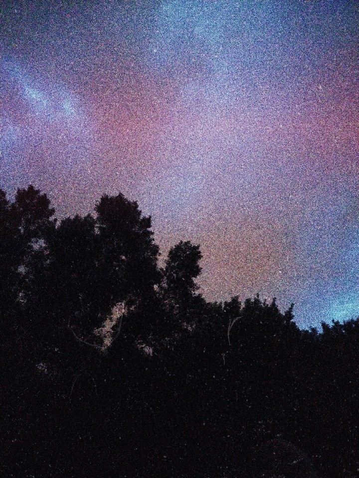 Night