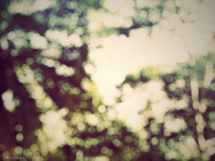 natural bokeh 2096 X 1572