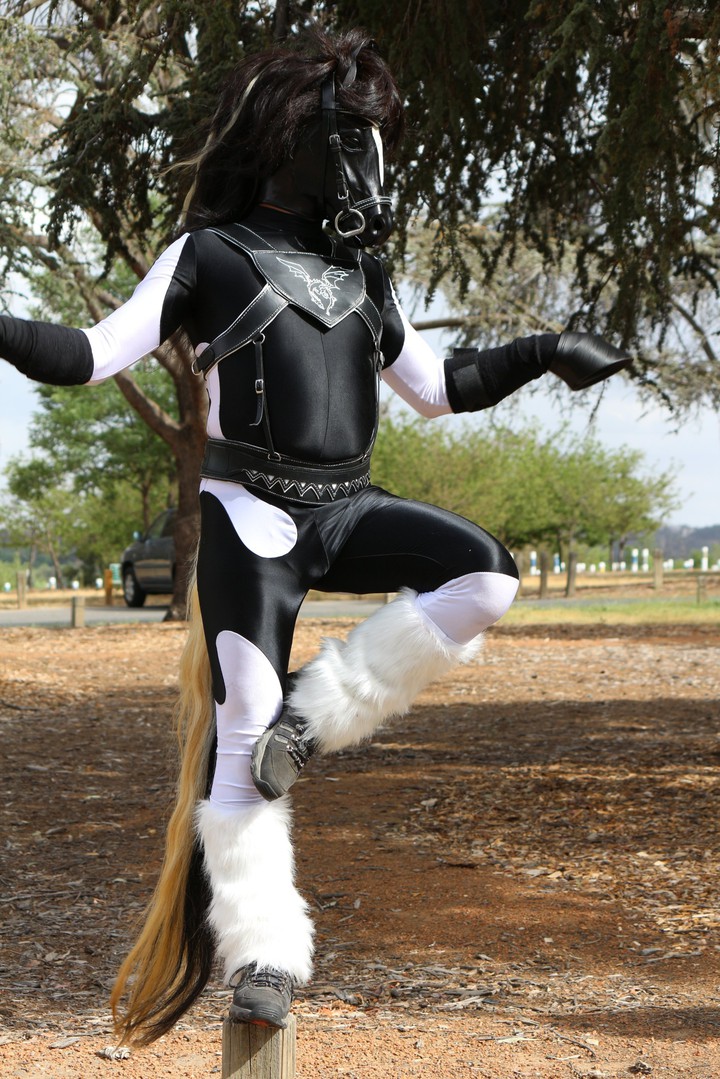 Rubber Horse
