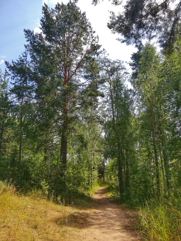 Deep in forest