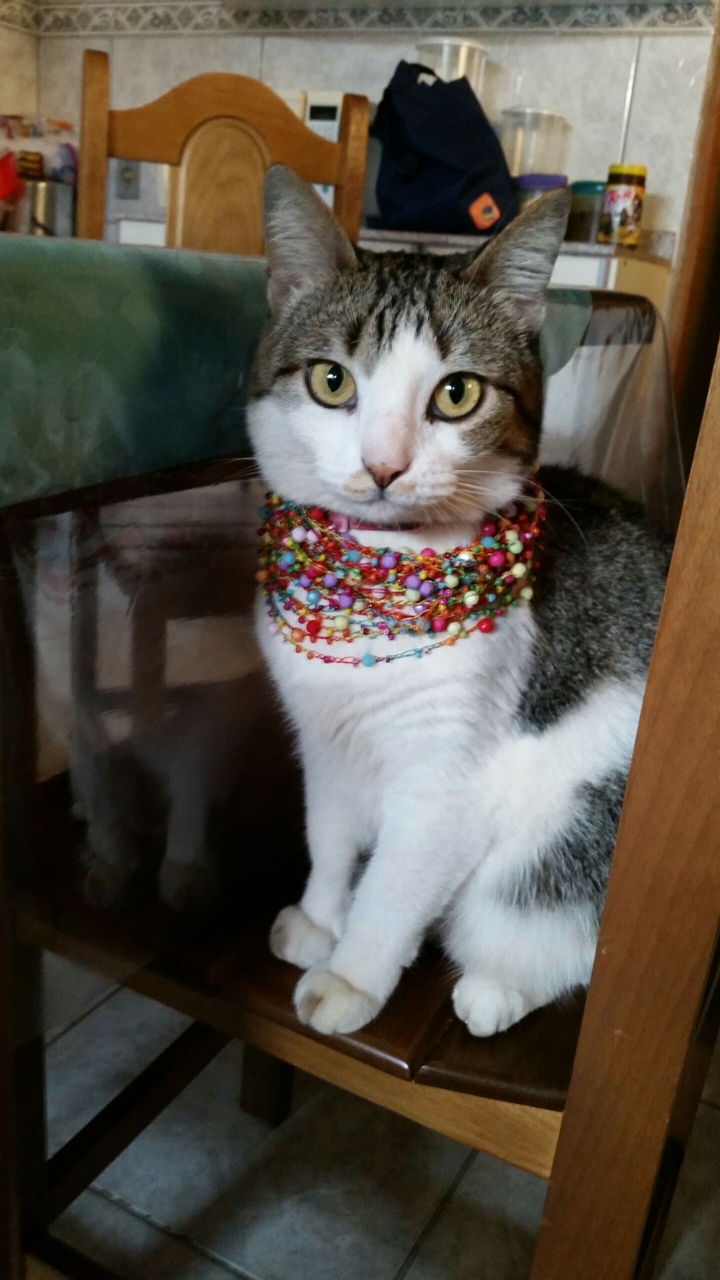 Mimi