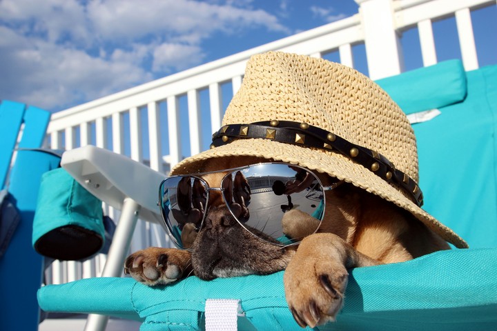 summer