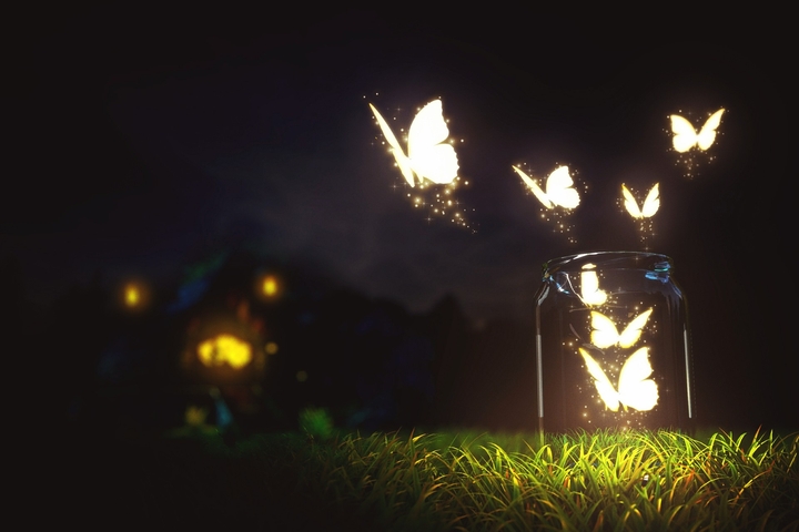 BUTTERFLY.....