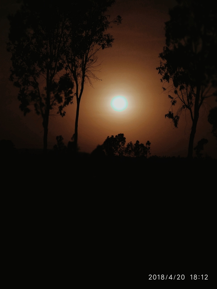 nature