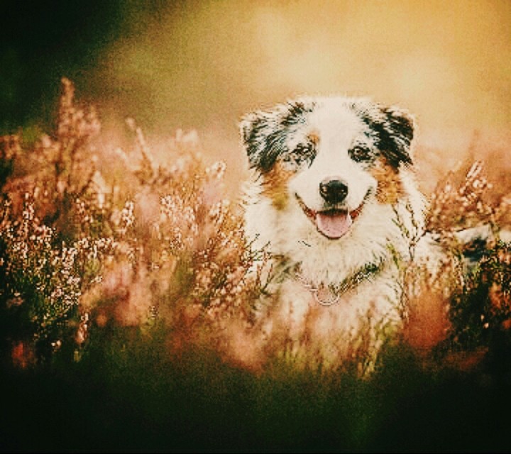 красота ♥