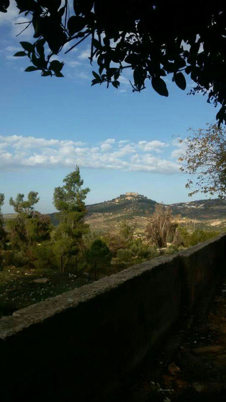 AJLOUN CASTLE