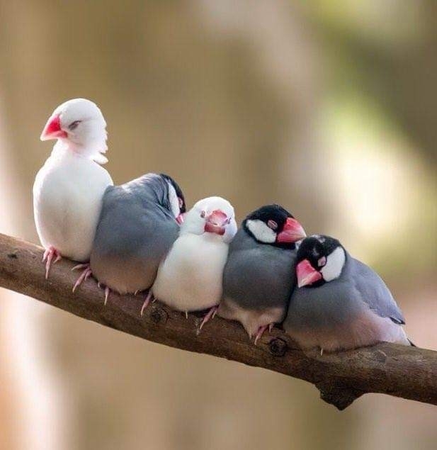❤