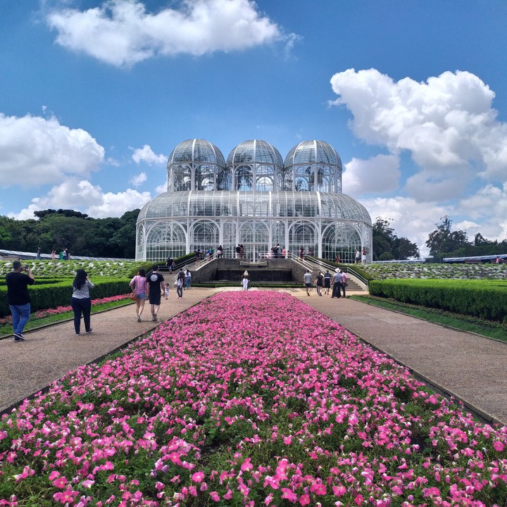 jardim