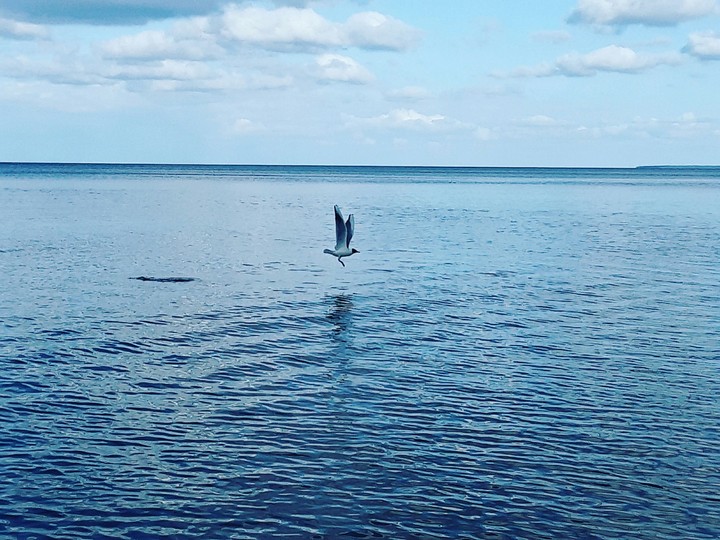 sea