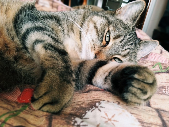 lazy day
