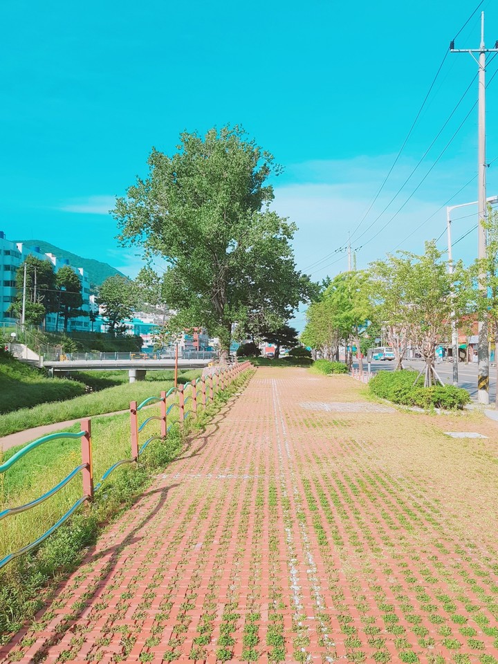 초록색