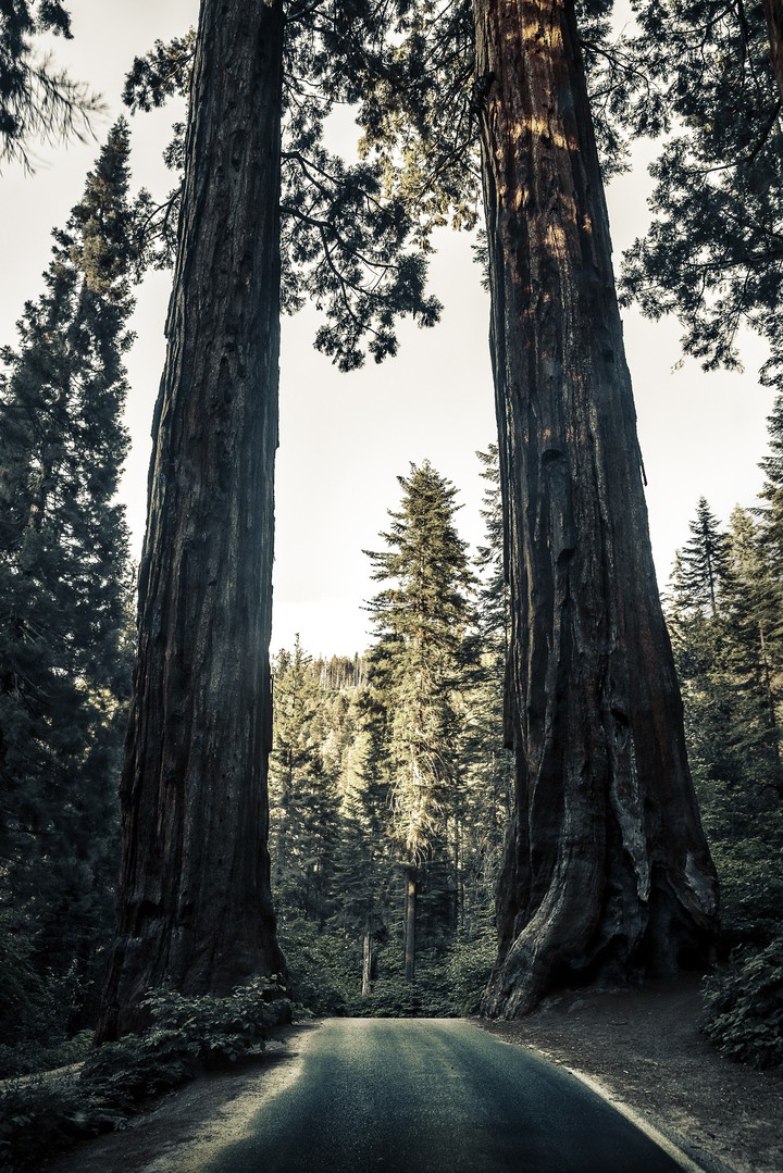 Nature