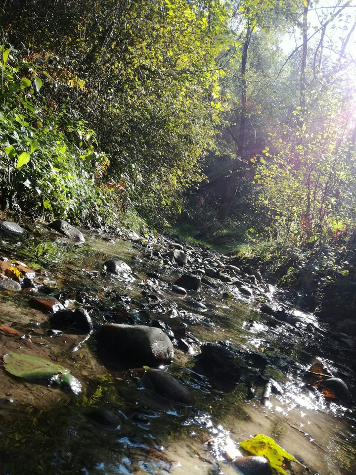 Beautiful nature❤