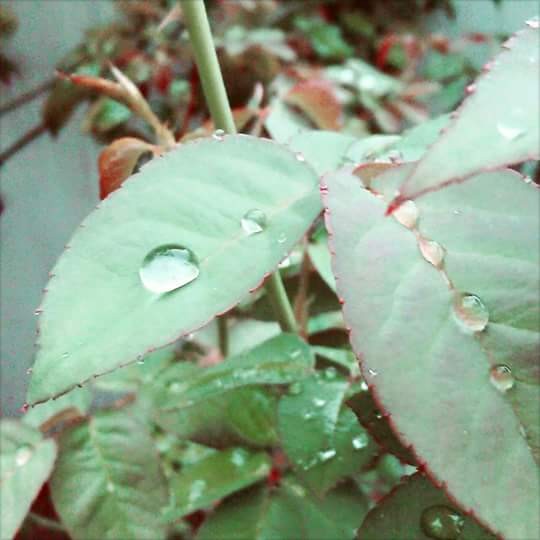 drop..