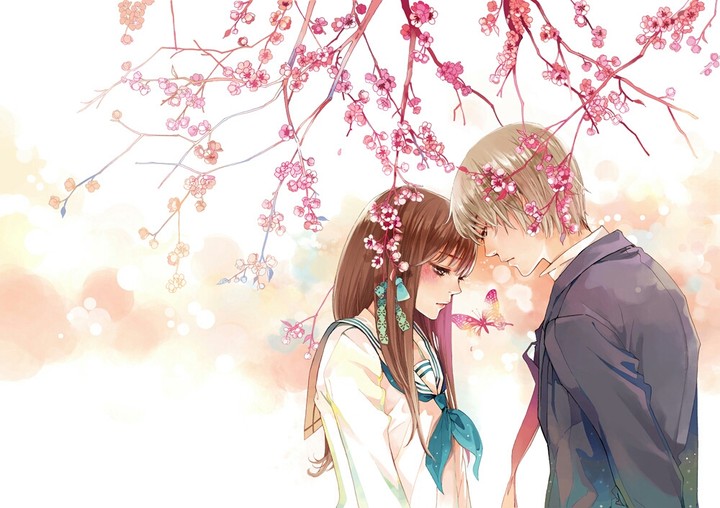 Love under the cherry tree in bloom