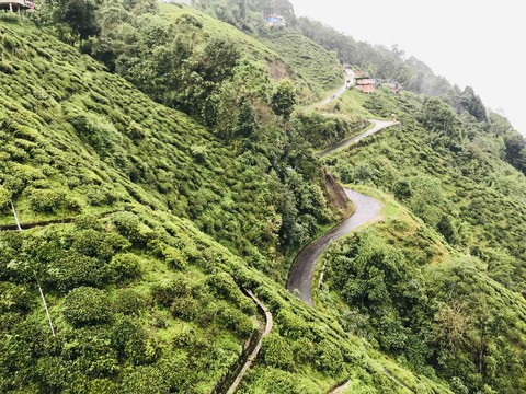 Darjeeling India