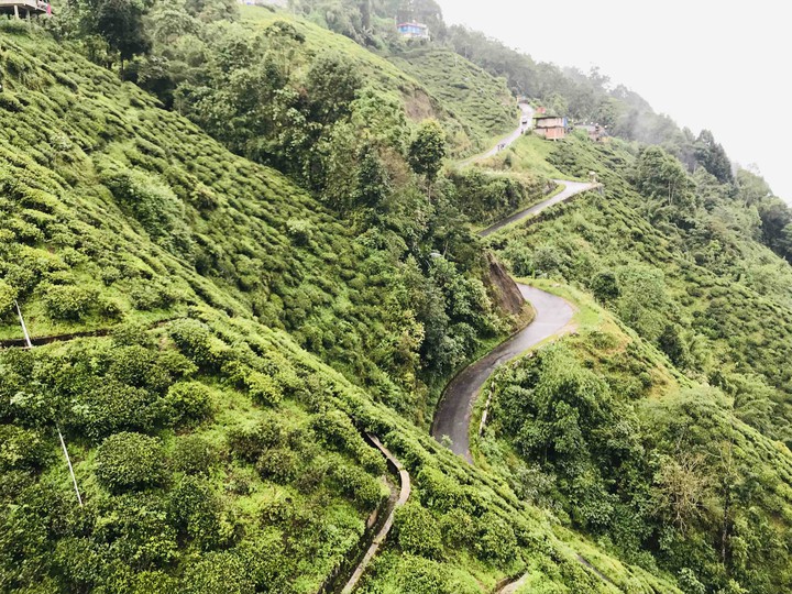 Darjeeling India