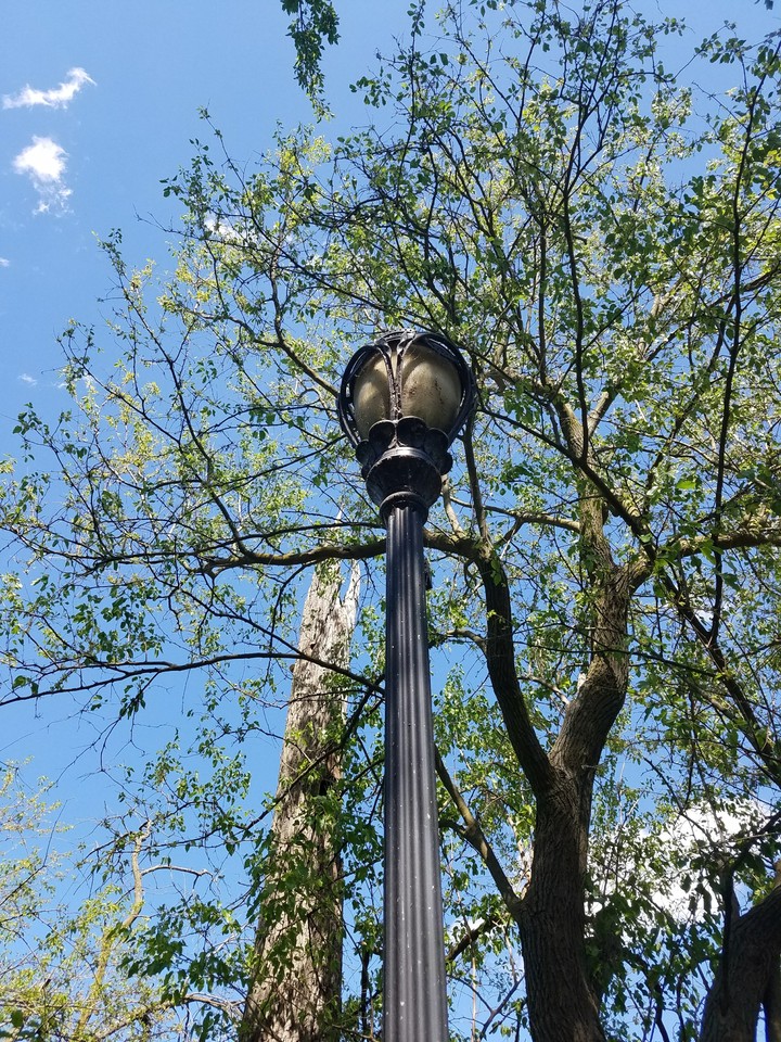 lamp
