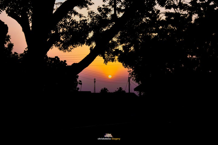 sunset silhouette