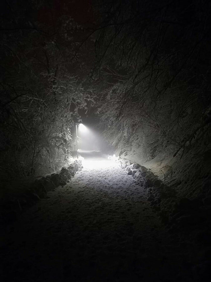 Light on the snowy road.