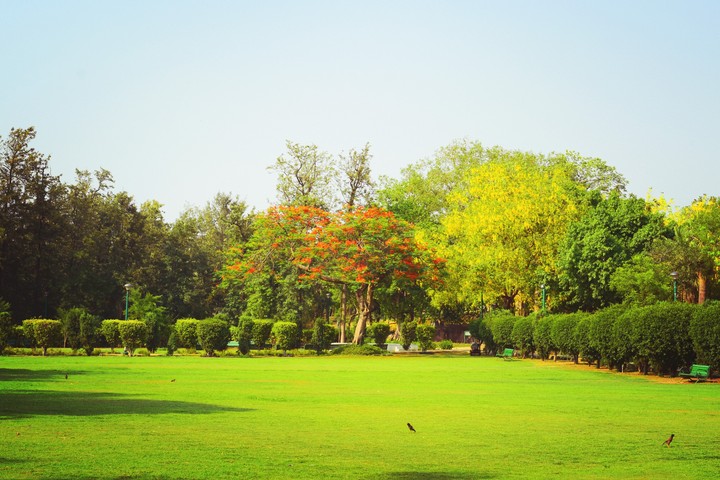 nature nature