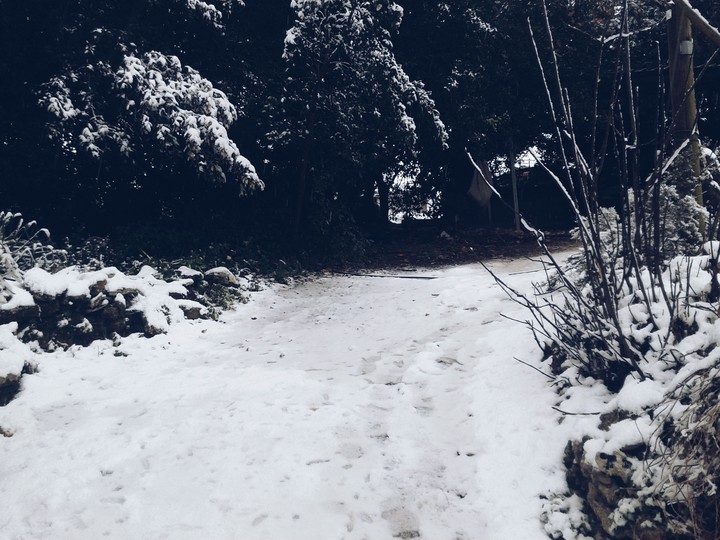 Boulevard in the snow