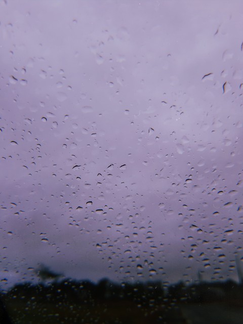 רקעים flock, morning