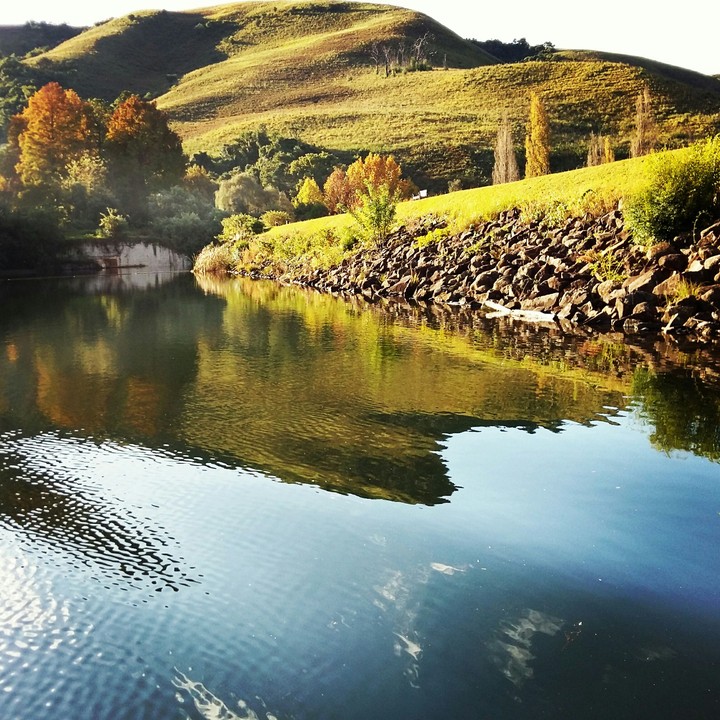 Reflections