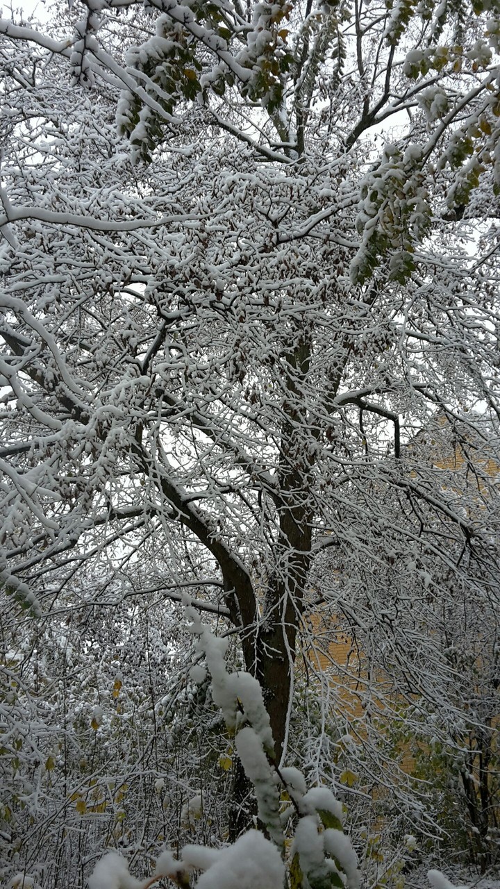 #snow
