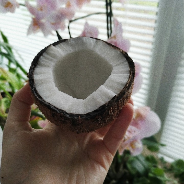 coconut