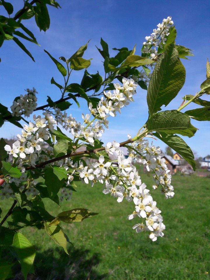 May 