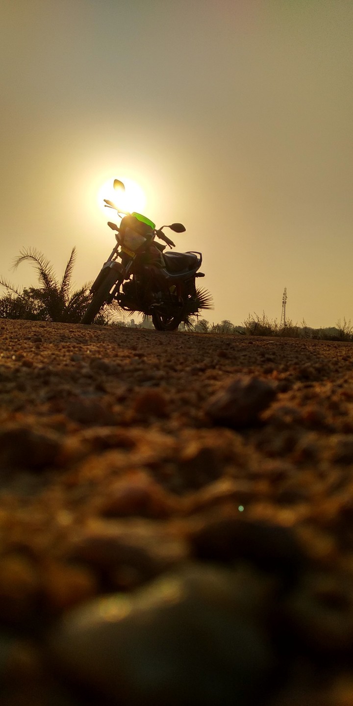 bike lovers