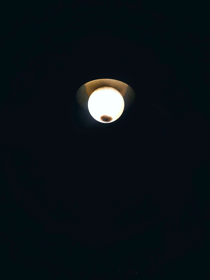 전구