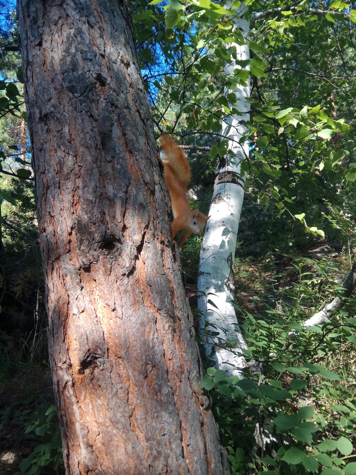 голубой залив