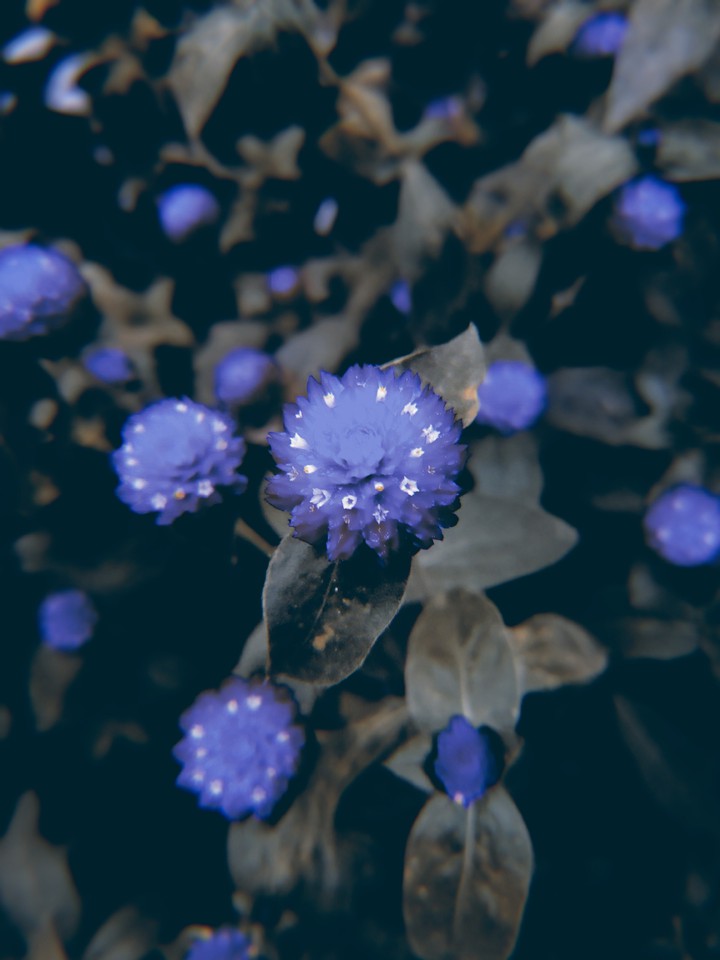 blue means memmory....