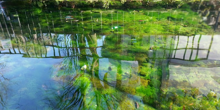 reflection