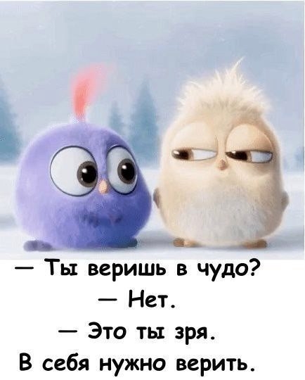 :  )