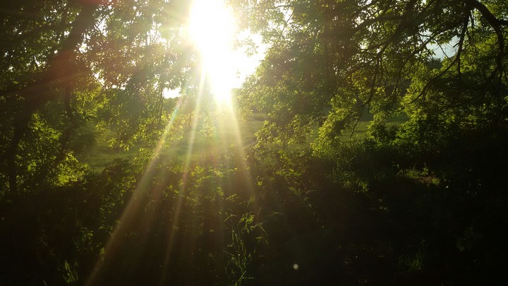 sun