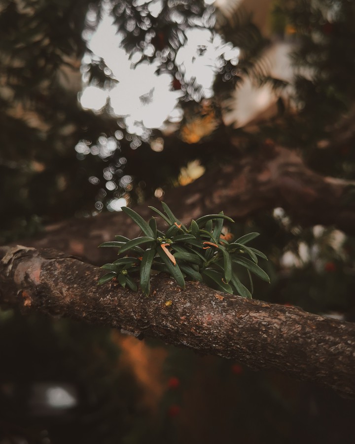 Winter life