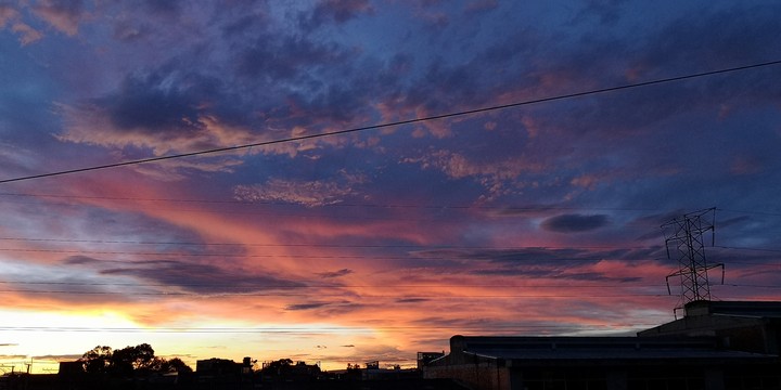colorida tarde