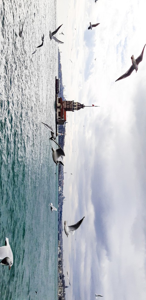 Maiden's Tower