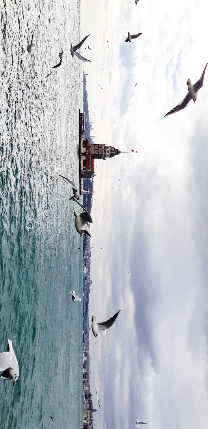 Maiden's Tower