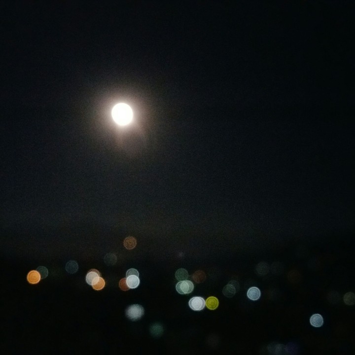 One of the nights.