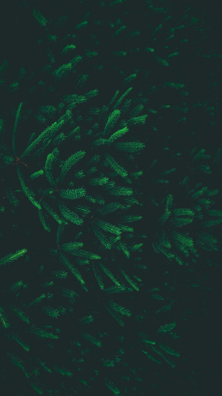 ❤