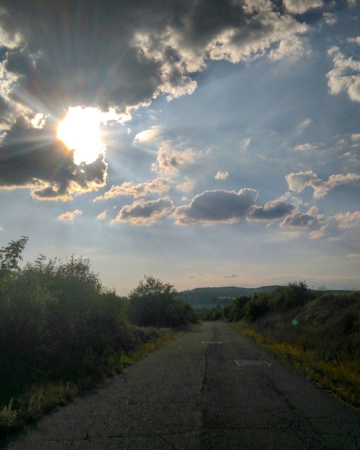 Follow Your Road