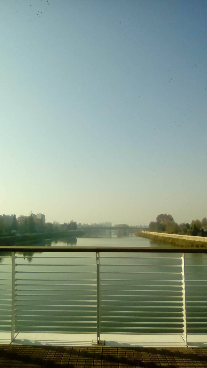 on the Meier bridge