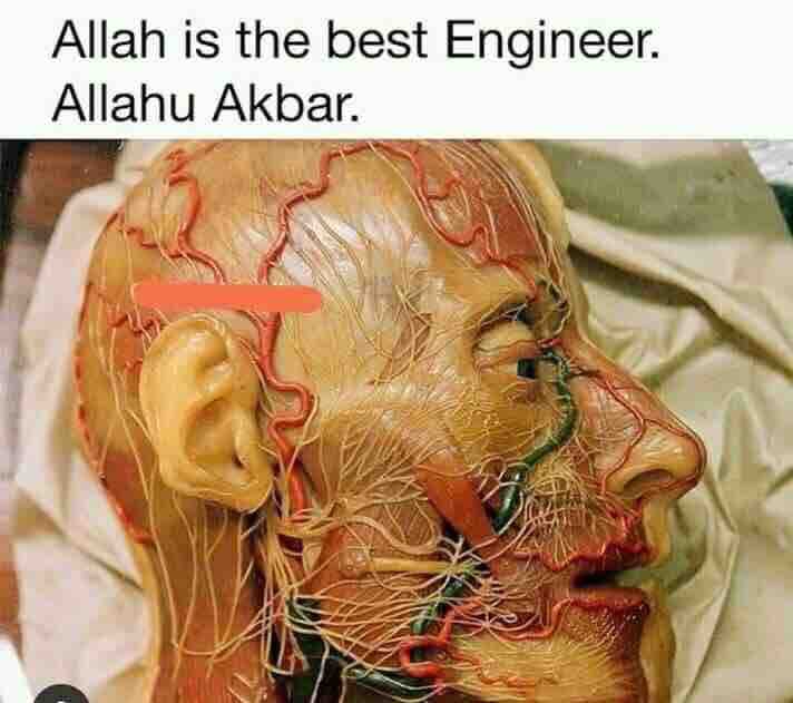 Man ,